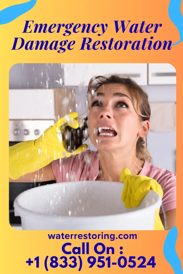 Emergency Water Damage Restoration in Merritt, IL