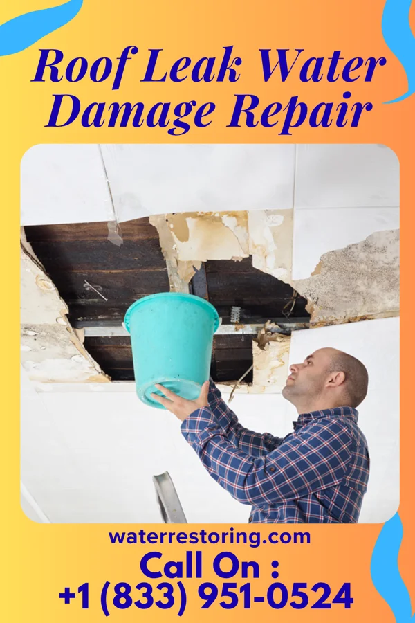 Roof Leak Water Damage Repair in Merritt, IL